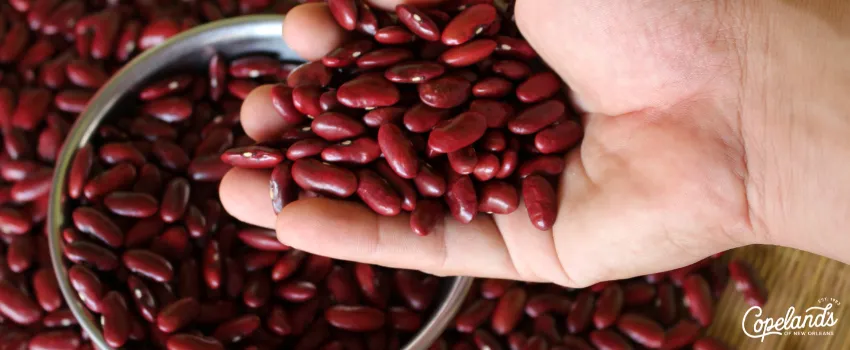 COD - A hand holding a bunch of red kidney beans
