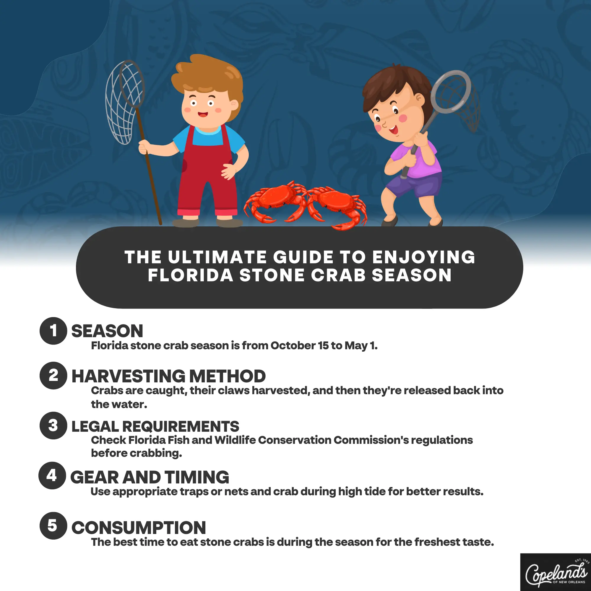 The Ultimate Guide to Enjoying Florida Stone Crab Season | COJ
