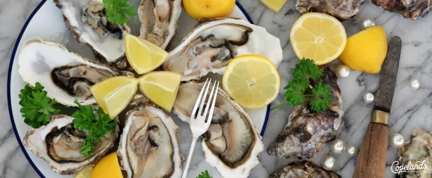 JDC - Plate of Oysters